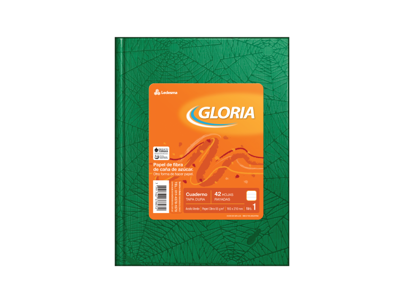 CUADERNO T/D 42 HS GLORIA ARAÑA VERDE RAYADO 100938