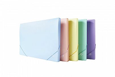 CAJA ARCHIVO PLASTICA 2.5 CM OFICIO C/ELAST PASTEL VERDE THE PEL 6086