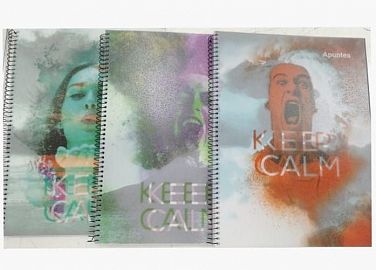 CUADERNO 29.7 APUNTES ILLUSION PP 80 HS RAYADO C/ESP 308041/301241