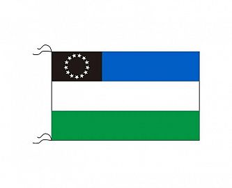 BANDERA PROVINCIA RIO NEGRO 90 X 150 CM