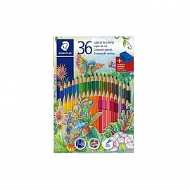 LAPICES DE COLORES STAEDTLER X 36 CARTON + SACAPUNTA