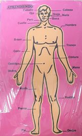 GOMA EVA APLICACIONES PUZZLE CUERPO HUMANO PARTES -ART.30C